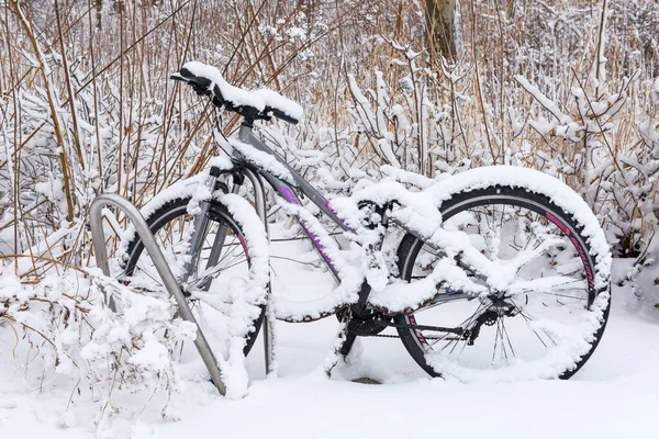 Karda bisiklet. Kış manzarası.