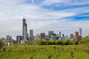 Chicago gökdelenleri ve yüksek çimenleri olan gökdelenler, Illinois, ABD