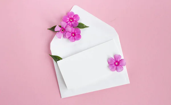 Envelope Flowers Beautiful Flowers Mail Envelope White Background Greeting Card — Stock Photo, Image