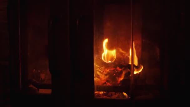 舒适轻松的壁炉 用圣诞假期的概念来确定 冥想录像 — 图库视频影像