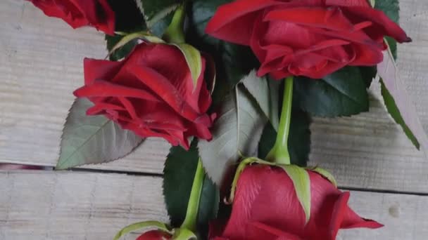 Valentines Day Red Roses Valentines Day Background — Video Stock