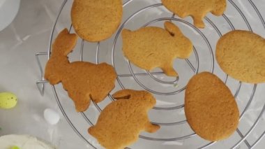 Easter cookies, rabbits, eggs Homemade cookies Easter