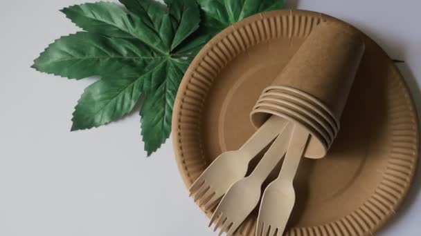 Ecology Environmental Protection Dishes Made Paper Wood — Vídeos de Stock