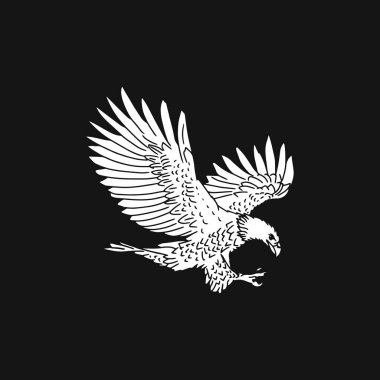 Çizim Eli şahin vektör tasarımı