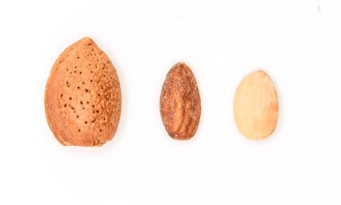 Badem, fındık tohumu ve kabuklu tohum beyaz arka planda