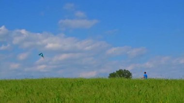 Uçan renkli uçurtmalar güneşli bir günde mavi gökyüzüne doğru hareket etti.