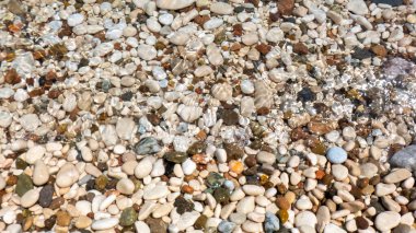 Akdeniz sahillerine dağılmış çakıl taşlarının yakın çekim görüntüsü, akıntı suyundan ıslanmış.