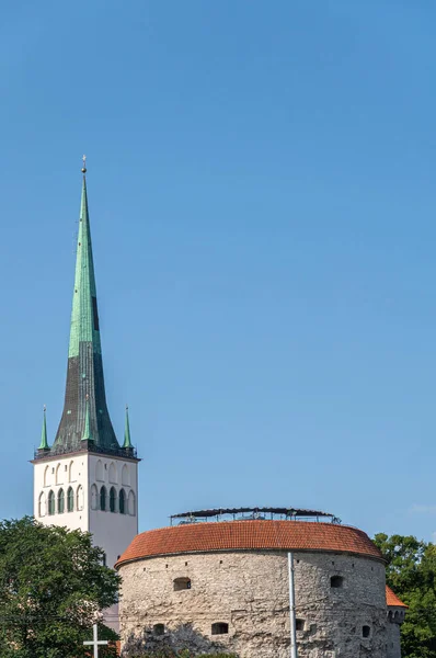 エストニア タリン 7月21 2022 青い空に対する町の城壁のベージュ石北スールRannavaravベースタワーの後ろに聖オラフ教会の旧市街 白い塔と緑の尖塔 緑の葉 — ストック写真