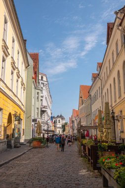 Estonya, Tallinn - 21 Temmuz 2022: Hint Lokantası 'ndan kuzeye, Vene Caddesi' ne bakıyoruz. Mavi gökyüzünün altında her iki tarafta da cepheler var. İnsanlar ve çiçekler renk katar