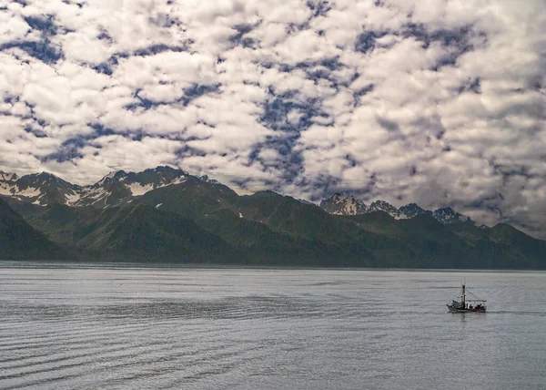 Seward Alaska Usa Juli 2011 Weite Landschaft Mit Meerwasser Und — Stockfoto