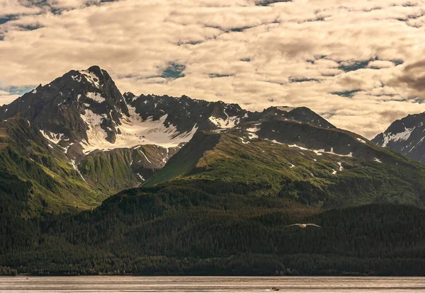 Сьюард Аляска Сша Июля 2011 Крупный План Белым Облачным Ландшафтом — стоковое фото