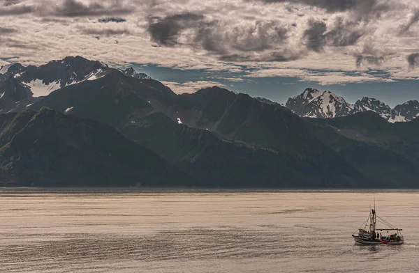 Сьюард Аляска Сша Липня 2011 Пейзаж Океанською Водою Зеленим Гірським — стокове фото