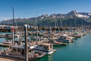 Seward, Alaska, ABD - 22 Temmuz 2011: Yeşilli Diriliş Körfezi suyuna küçük tekne iskeleleri ve yanaşma yerleri. Arkasında karlı bölgeler ve orman yeşil kanatları olan dağ sıraları.
