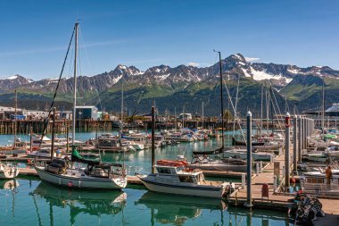 Seward, Alaska, ABD - 22 Temmuz 2011: 2 rıhtımı ve yeşilimsi Diriliş Körfezi suyuna kenetlenme yuvası olan küçük tekne limanı. Arkasında karlı bölgeler ve orman yeşil kanatları olan dağ sıraları.