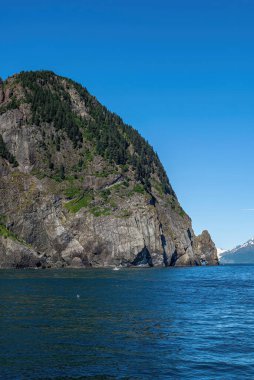 Diriliş Körfezi, Alaska, ABD - 22 Temmuz 2011: Dik gri kayalık uçurum mavi suya iniyor ve ağzı suya gömülü bir aslan kafası oluşturmuş gibi görünüyor. Kar parçalı dağ