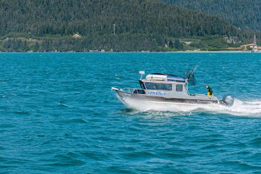 Resurrection Bay, Alaska, ABD - 22 Temmuz 2011: Küçük beyaz deniz gemisi Enterprise 'ın mavi sudaki motorlu teknesinin kapatılması