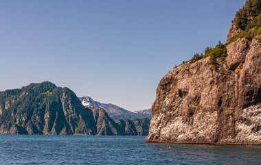 Diriltme Körfezi, Alaska, ABD - 22 Temmuz 2011: Kahverengi Hive Adası kıyıları beyaz guano ve gri ana kara kayalıkları ve mavi gökyüzünün altındaki kıyı şeridi tarafından kirletilmiştir. Mavi okyanus suyu