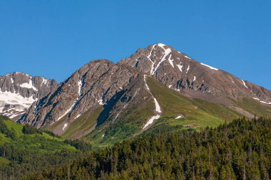 Geyik Geçidi, Alaska, ABD - 22 Temmuz 2011: Mavi gökyüzünün altında karla kaplı gri dağ manzarası. Ormanların tepesinde yeşil kanatlar var.