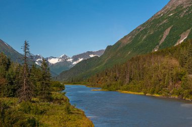 Geyik Geçidi, Alaska, ABD - 22 Temmuz 2011: Mavi gökyüzü altında kar yamaçları olan yeşil ormanlar ve karanlık dağlar arasında gezinen mavi su temizleme deresi