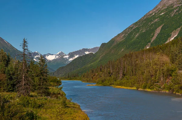 Moose Pass Alaska Usa Juli 2011 Traversing Blauw Water Heldere — Stockfoto