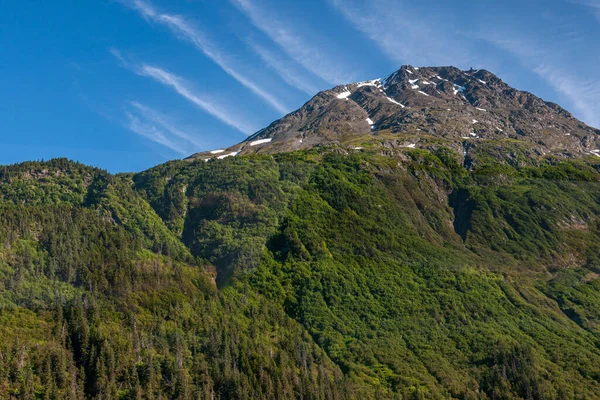 Moose Pass Alaska Usa Juli 2011 Bergkam Met Groene Beboste — Stockfoto