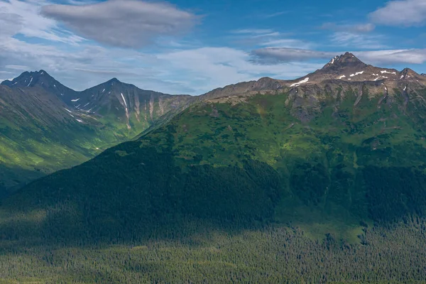 Girdwood Alaska Usa Juli 2011 Chugach Park Olika Nyanser Gröna — Stockfoto