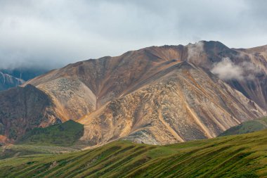Denali Park, Alaska, ABD - 25 Temmuz 2011: Kum renkli kayalık dağ sırasının arkasındaki yeşil orman yoğun mavi bulutların altındaki tepeler. Koyu zirveler