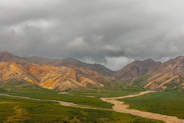 Denali Park Alaska Usa 2011 Landscape 툰드라를 관통하여 내려가는 샌디마른 — 스톡 사진
