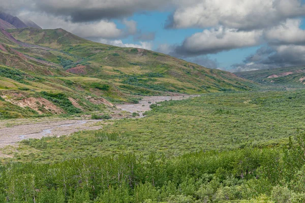 Denali Park Alaska Usa Juli 2011 Brett Landskap Längs Slingrande — Stockfoto