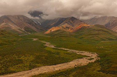 Denali Park, Alaska, ABD - 25 Temmuz 2011: Yeşil tundralı geniş, yarı kuru ve çakıllı nehir yatağı, koyu kahverengi bulut manzaralı, turuncu-kahverengi sıralı