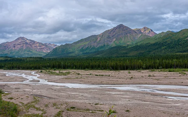 Denali Park Alaska Usa Juli 2011 Stor Stenlagd Halvtorr Flod — Stockfoto