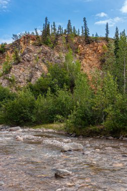 Denali Park, Alaska, ABD - 24 Temmuz 2011: Portre, Nenana Nehri. Hızlı akan su ve kayalık kıyı şeridi, mavi gökyüzünün altında kırmızı kaya kanatları olan yeşil ağaç yaprakları.