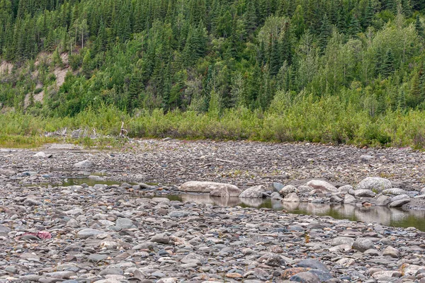 Denali Park Alaska Verenigde Staten Juli 2011 Nenana River — Stockfoto