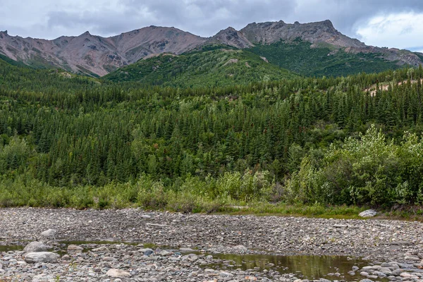 Denali Park Alaska Verenigde Staten Juli 2011 Nenana River Kustlijn — Stockfoto
