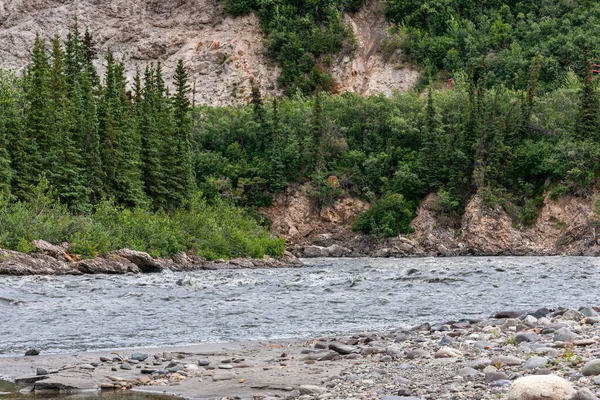 Denali Park Alaska Usa Juli 2011 Snabb Streaming Nenana River — Stockfoto
