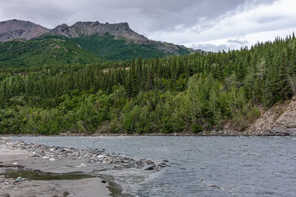 Denali Park Alaska Usa Juli 2011 Nenana River Brett Landskap — Stockfoto