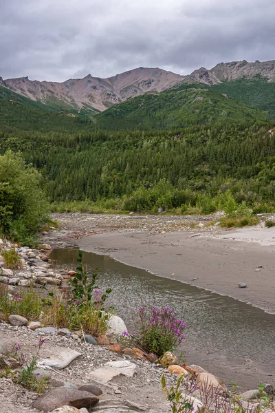 Denali Park Aljaška Usa Července 2011 Nenana River Krajina Růžovými — Stock fotografie