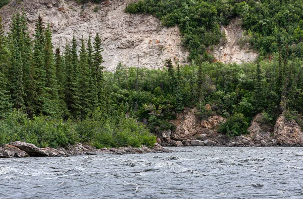 Denali Park Alaska Usa Juli 2011 Nenana River Stroomt Snel — Stockfoto