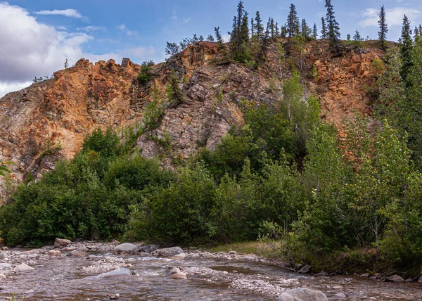 Denali Park Alaska Usa Juli 2011 Nenana River Snabbt Rinnande — Stockfoto