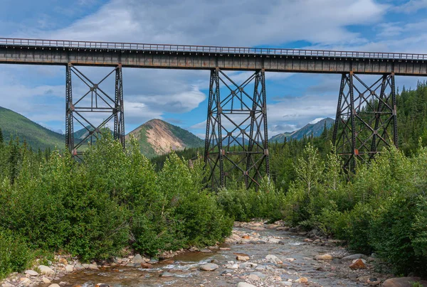 Denali Park Alaska Usa Juli 2011 Nenana Floden Rinner Järnvägsbron — Stockfoto