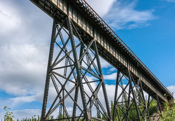 2011年7月24日 ネナナ川 アラスカ鉄道の橋は青い雲の中を斜めに切り 下に緑の葉があります — ストック写真