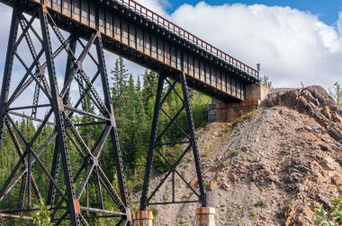 Denali Park, Alaska, ABD - 24 Temmuz 2011: Alaska Demiryolu İnce köprüsü yüksek sütunlar üzerinde bej kayalık dağ yamacına iniyor