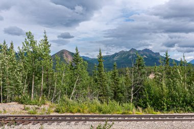 Denali Park, Alaska, ABD - 24 Temmuz 2011: Mavimsi yoğun bulutların altında dağ sırasına sahip yeşil yeşillik kuşağının önündeki tek tren yolu
