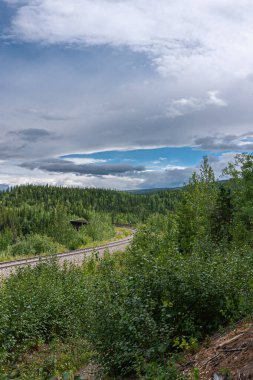 Denali Park, Alaska, ABD - 24 Temmuz 2011: Portre. Tek tren yolu, mavi bulutların altındaki yeşil ormandan geçiyor.