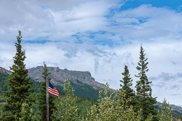 Denali Park Alaska Usa Juli 2011 Förenta Staternas Flagga Stjärnor — Stockfoto