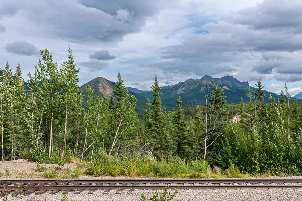 Denali Park Alaska Usa Juli 2011 Ett Enda Järnvägsspår Framför — Stockfoto