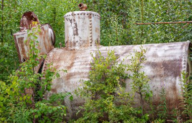 Fox, Alaska, ABD - 26 Temmuz 2011: Eldorado Altın Madeni Müzesi ve Park. Kapalı antik dökük paslı metal buhar motoru ve tank placer madenciliğinde kullanılır, yeşil ağaç yaprakları arasında kalır