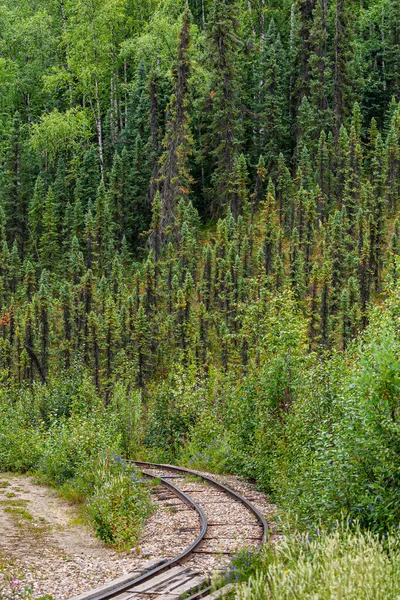 Fox Alaska Usa 2011 Eldorado Gold Mine Museum Park 나무들이 — 스톡 사진