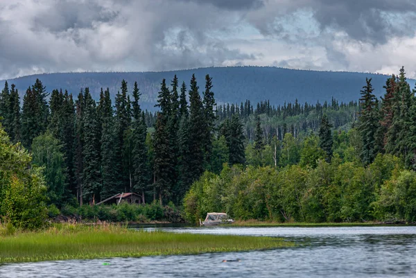 Fairbanks Alaska Usa July 2011 Chena River Wide Landscape Green — Stock Photo, Image