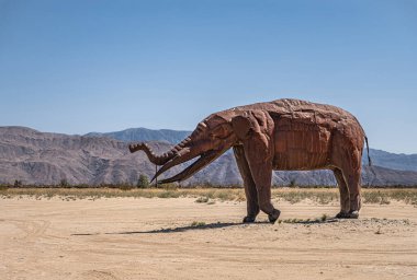 Borrego Springs, CA, ABD - 24 Nisan 2023: Kahverengi paslı metal, tarih öncesi dev mamut heykeli kumlu çöl tabanına kurulmuş ve mavi gökyüzü altında yeşil otlar var. Arka taraftaki dağ sırası.